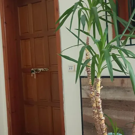 Στούντιο Κέντρου Άνω Πόλης Πάτρας Apartment Exterior photo